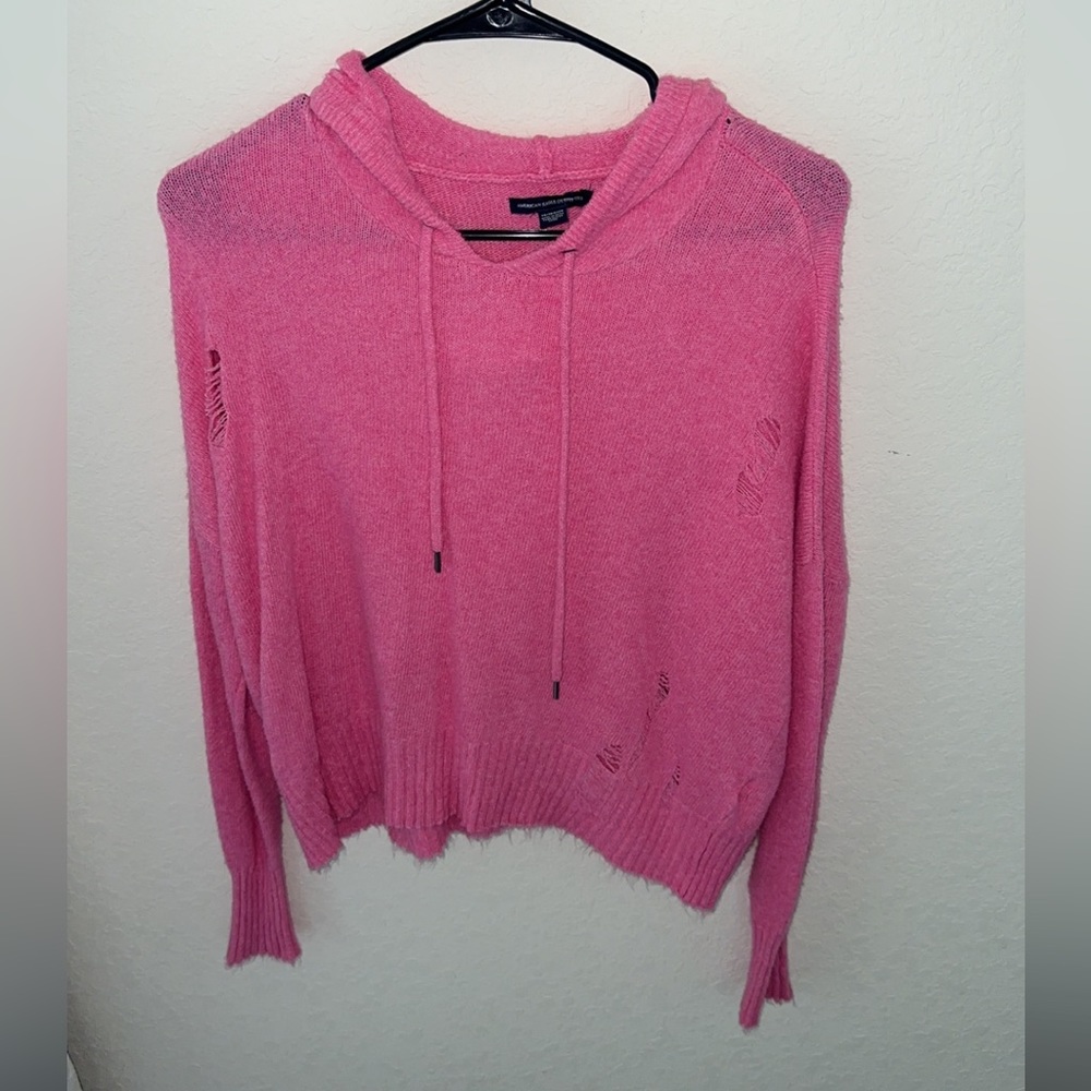 American Eagle Sweater with hood